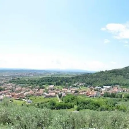Vila Podere San Martino