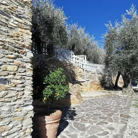 Podere San Martino * Buti